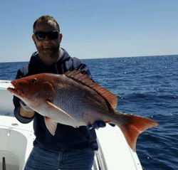 Premium Florida Fishing Charters Await